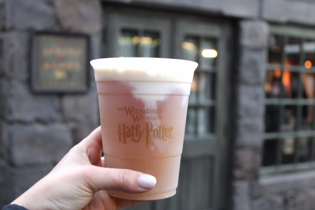 The Wizarding World of Harry Potter at Universal Studios - Carlas Canvas